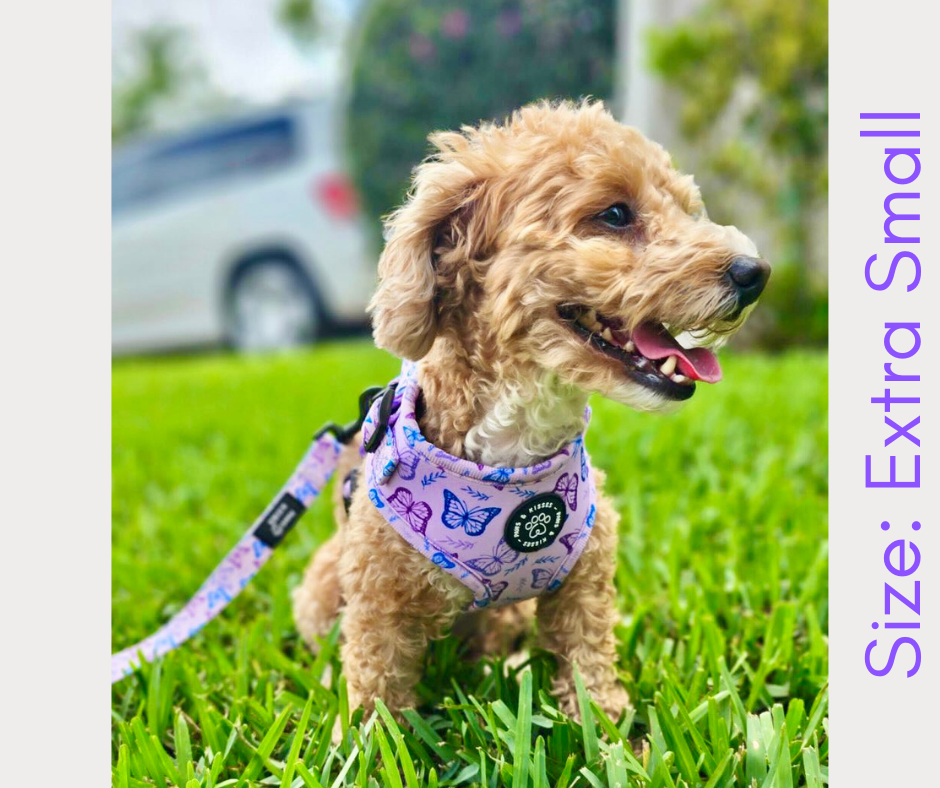 Adjustable Harness - Mariposa