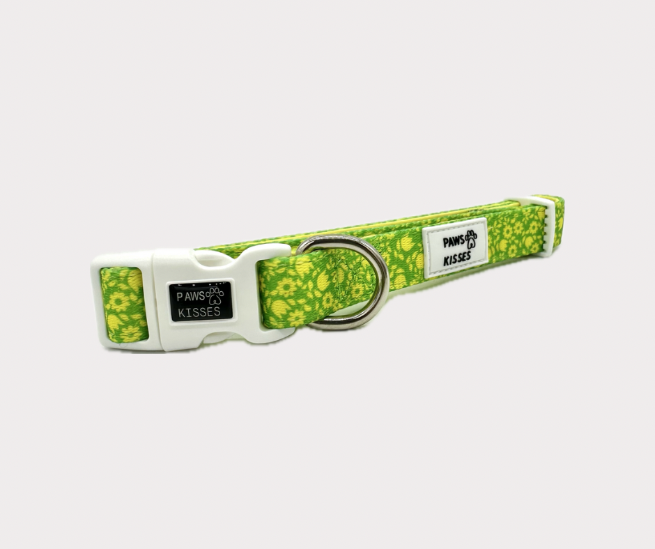 Adjustable Collar - Garden Grove
