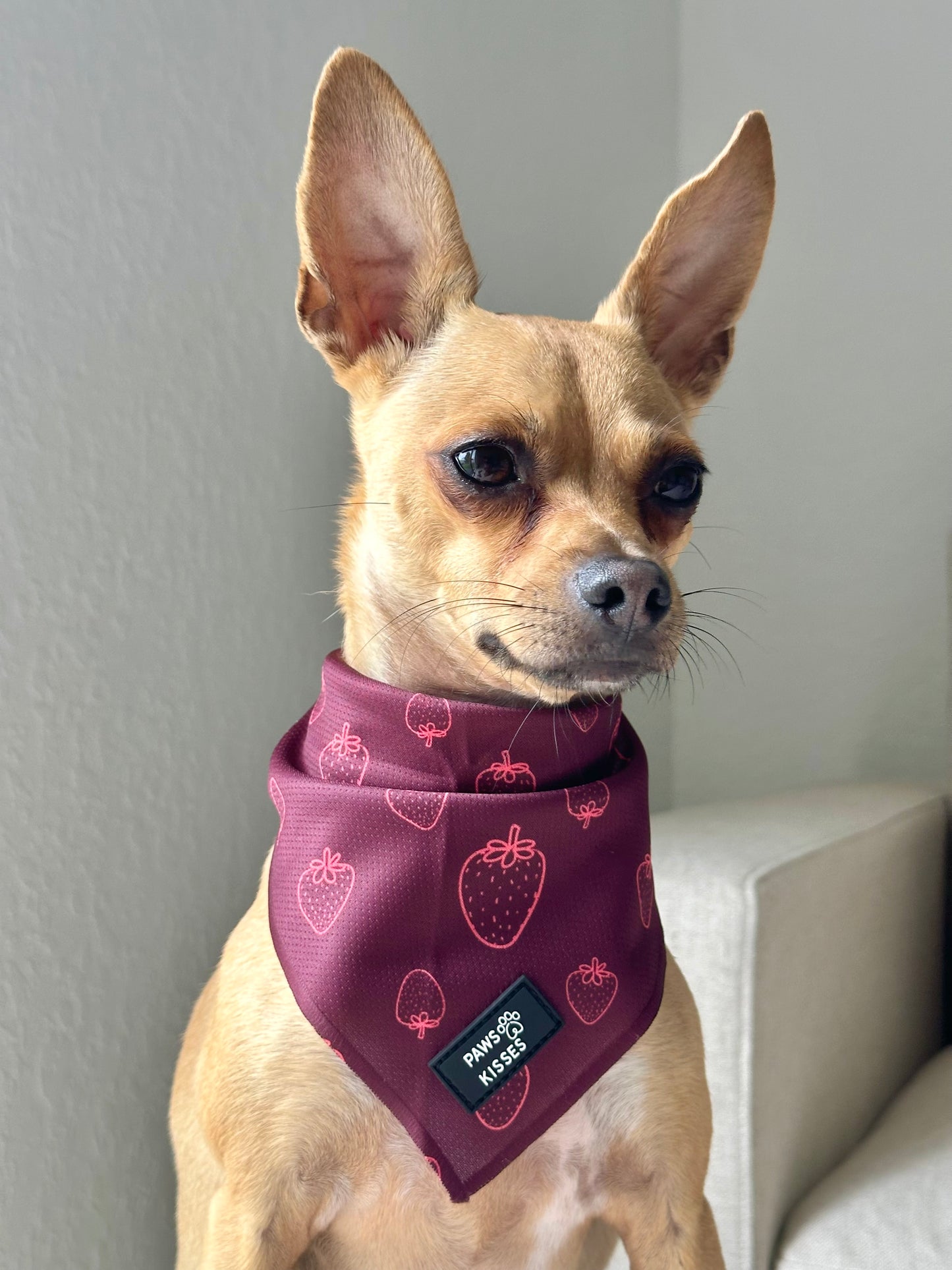Cooling Bandana - Pawberry