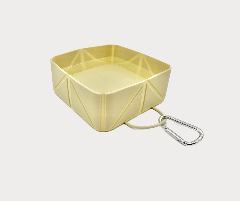 Foldable Travel Bowl
