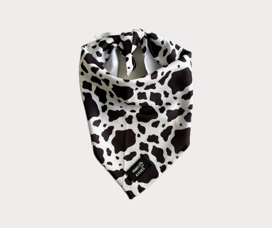 Cooling Bandana - Moo Moo Chic