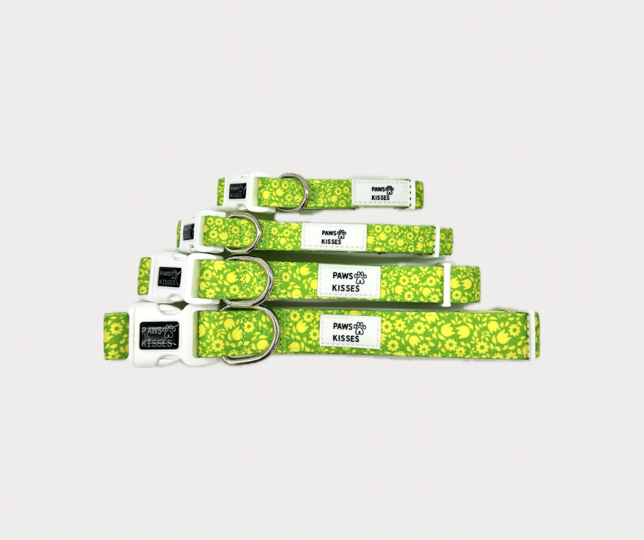 Adjustable Collar - Garden Grove