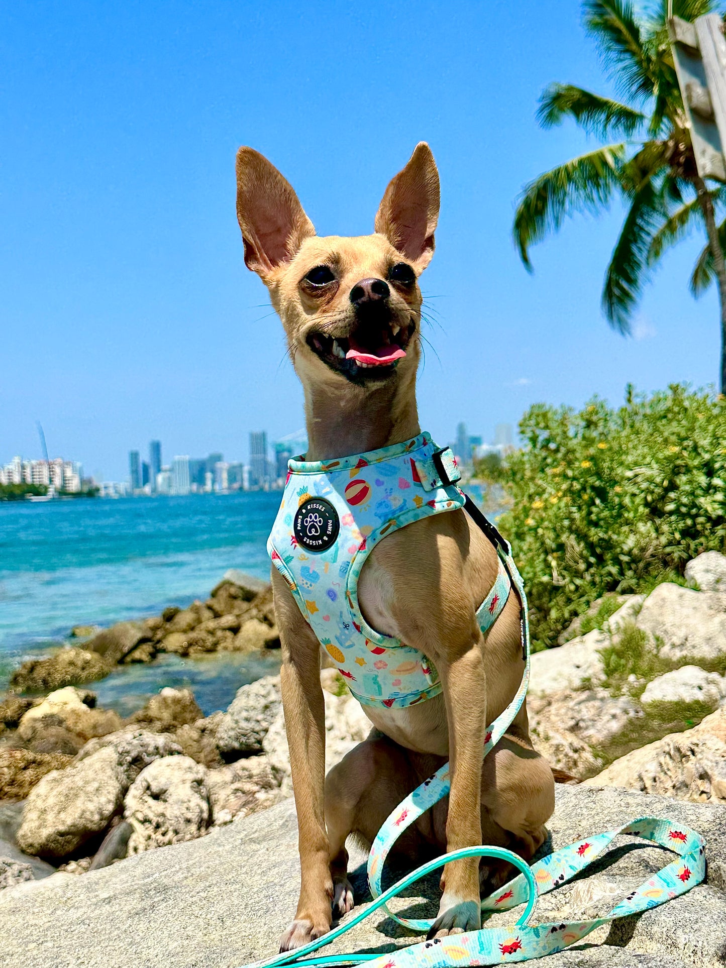 Adjustable Harness - Beach Pawty