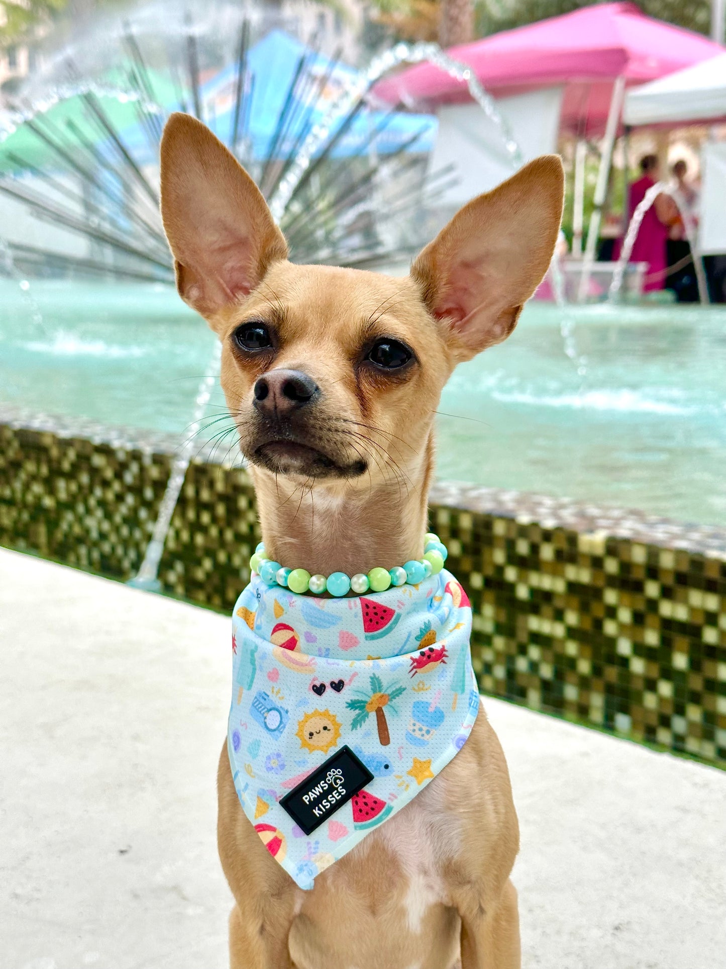 Cooling Bandana - Beach Pawty