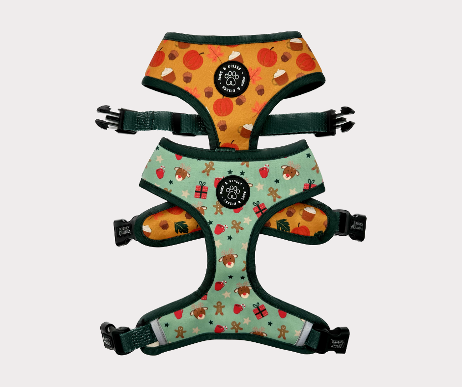 Reversible Harness - Sweater Weather