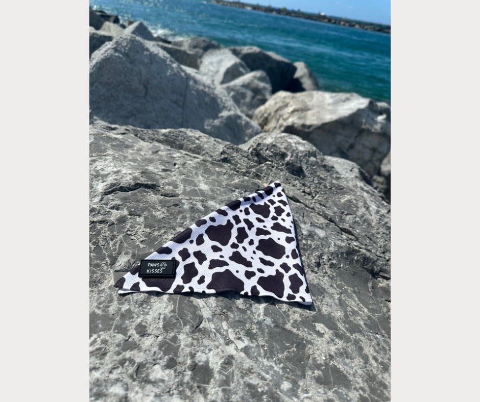 Cooling Bandana - Moo Moo Chic