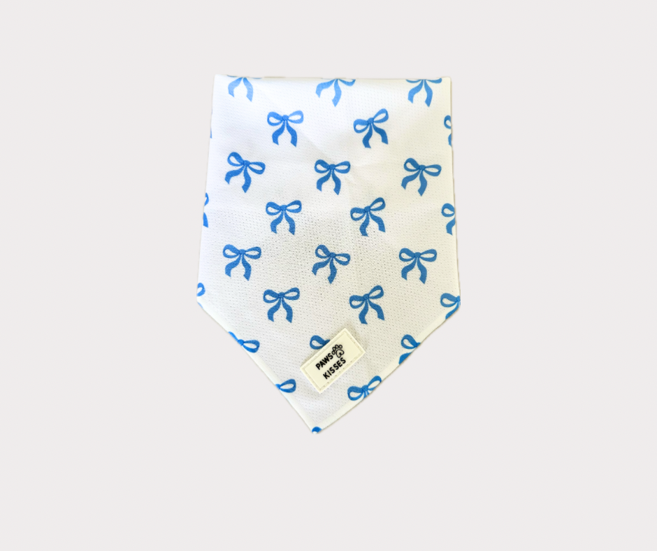 Cooling Bandana - Pawquette