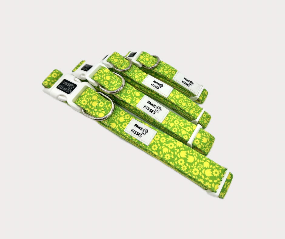 Adjustable Collar - Garden Grove