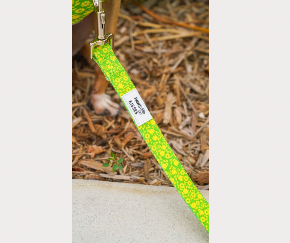 Leash - Garden Grove