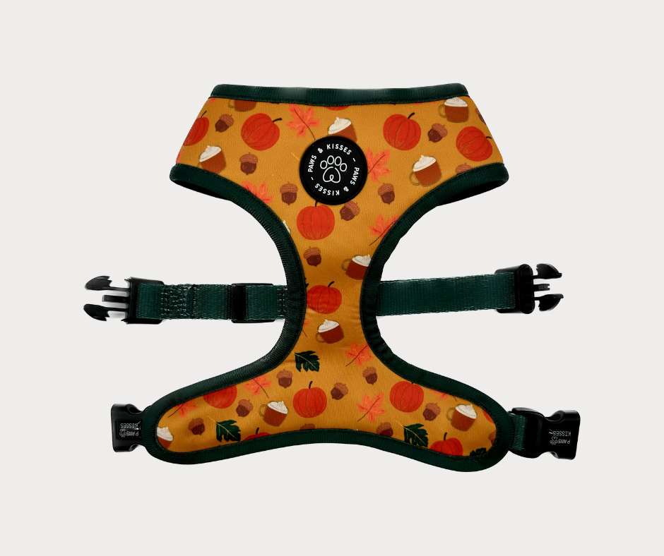 Reversible Harness - Sweater Weather