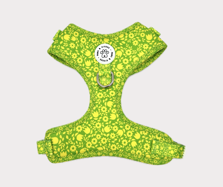 Adjustable No Pull Harness - Garden Grove