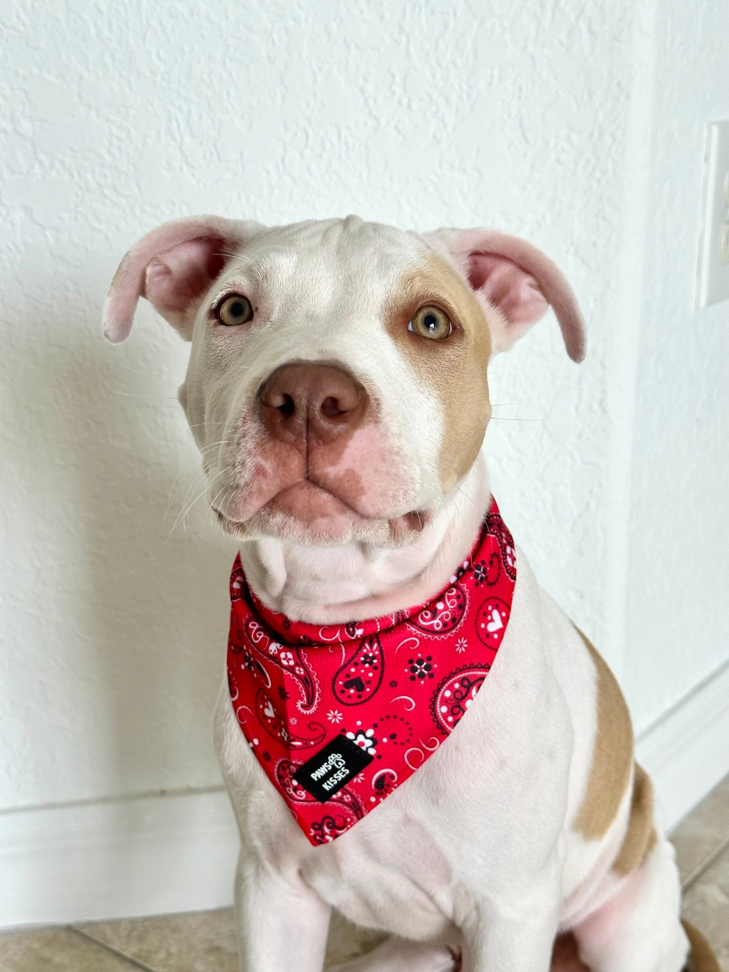 Cooling Bandana - Yeepaw