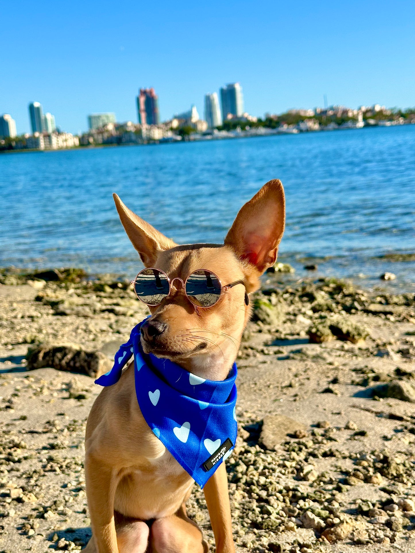 Cooling Bandana - Blue and I