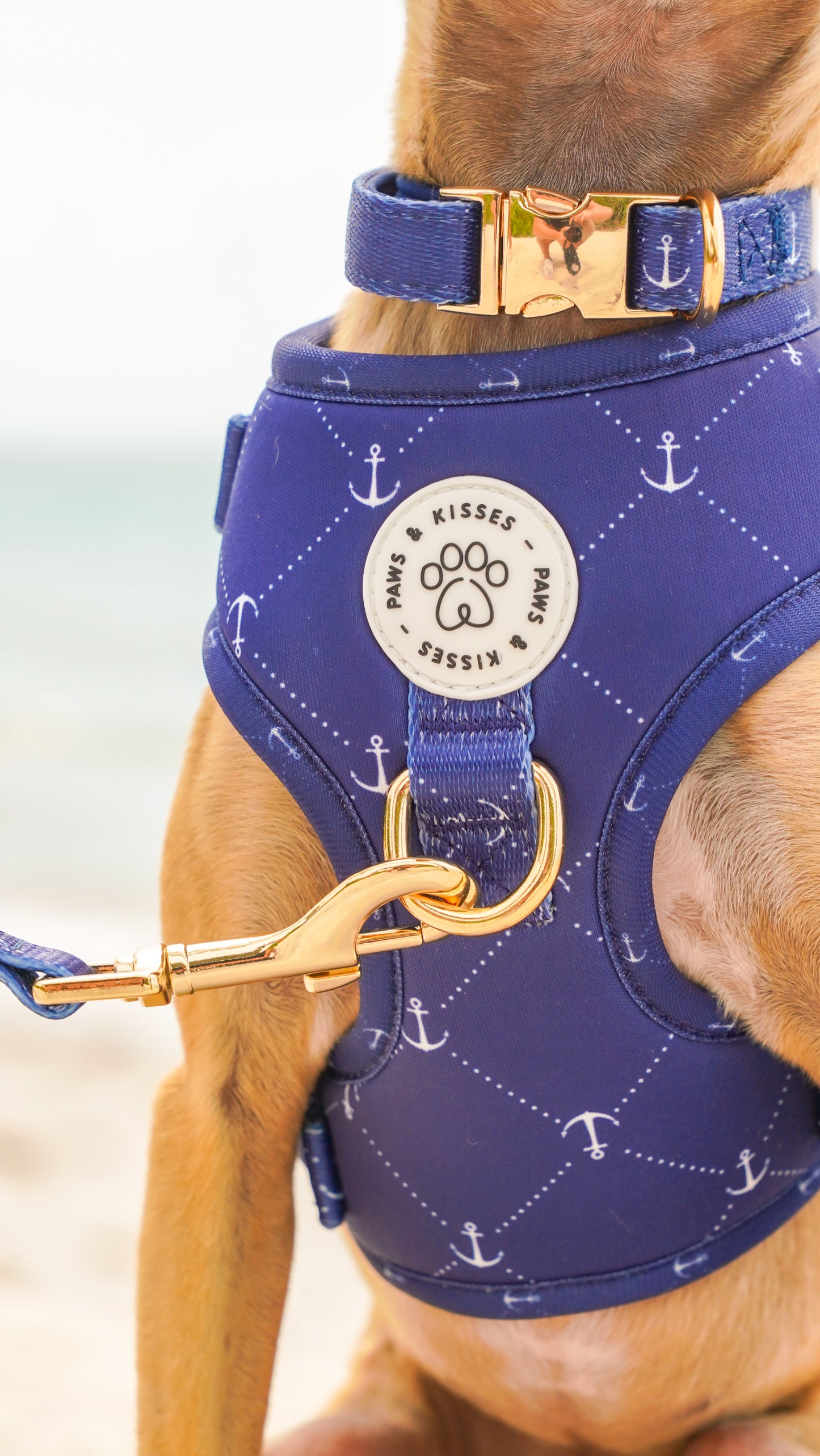 Adjustable No Pull Harness - Anchors Away