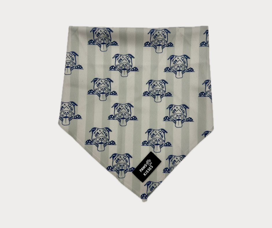 Cooling Bandana - Pitbull