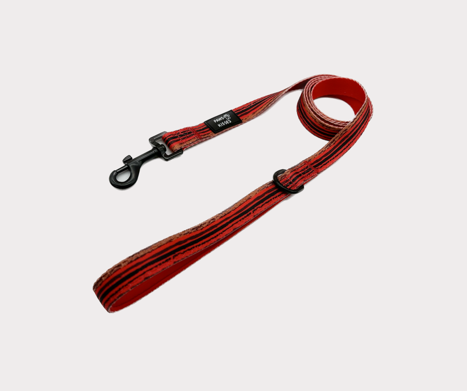 Leash - Rouge