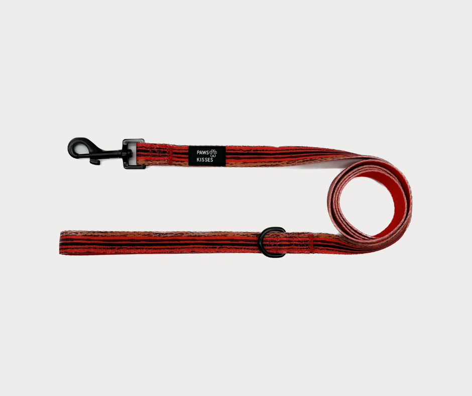 Leash - Rouge