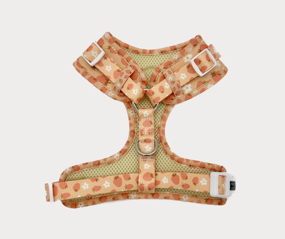 Adjustable Harness - Blossom Berry