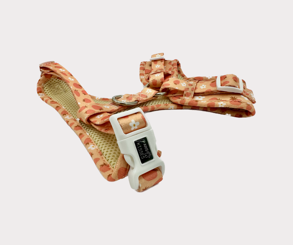 Adjustable Harness - Blossom Berry