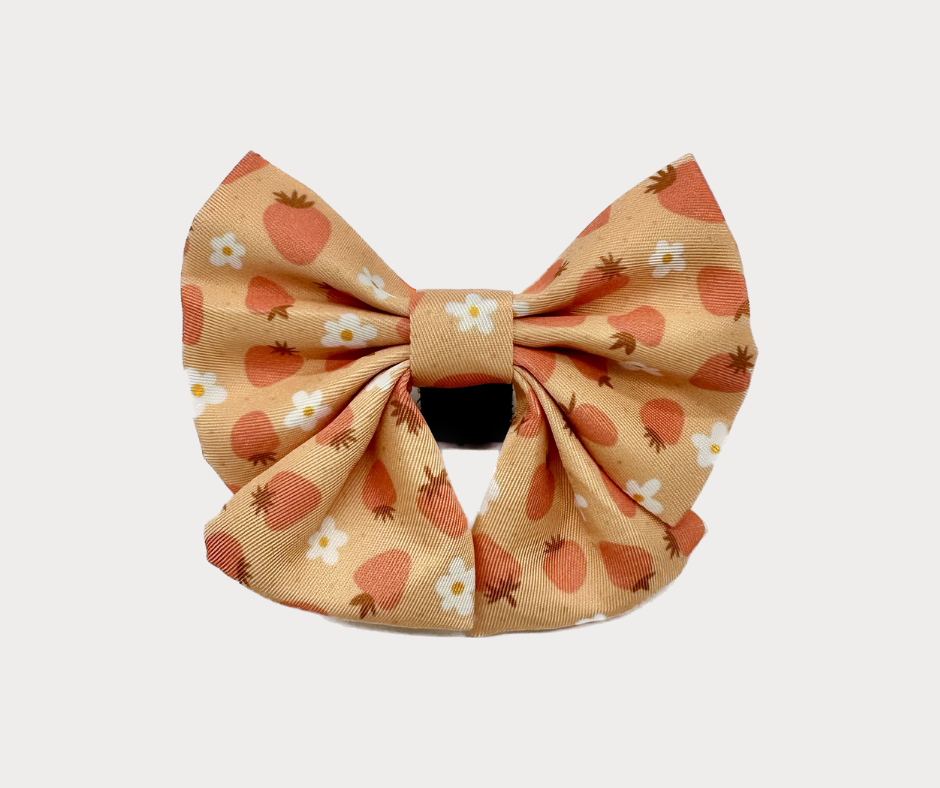 Bow - Blossom Berry