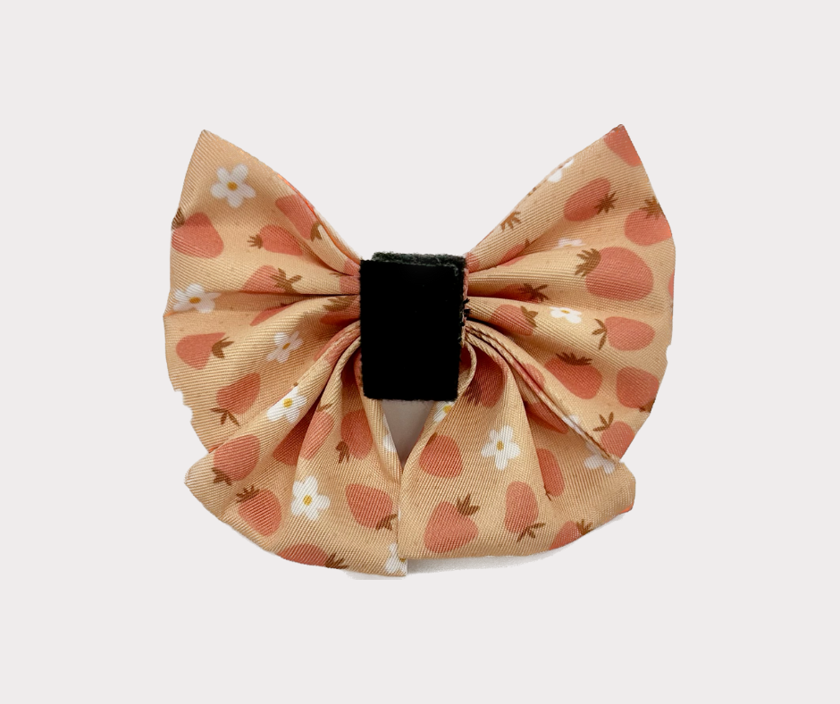 Bow - Blossom Berry