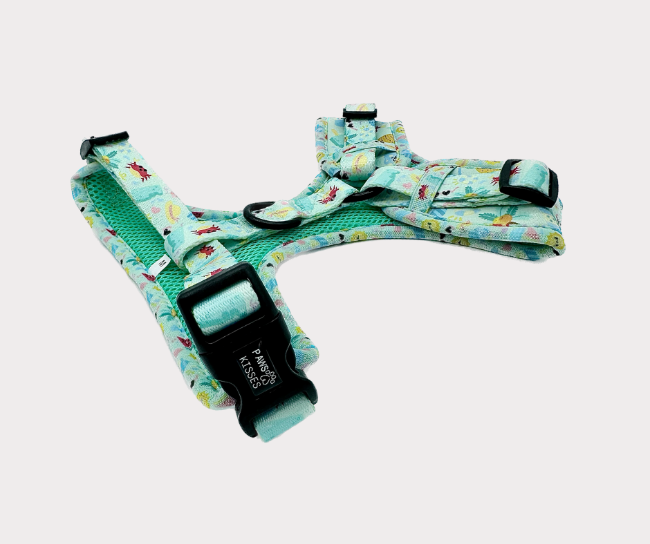Adjustable Harness - Beach Pawty