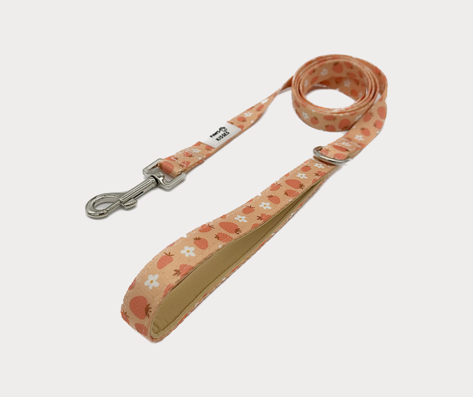 Leash - Blossom Berry