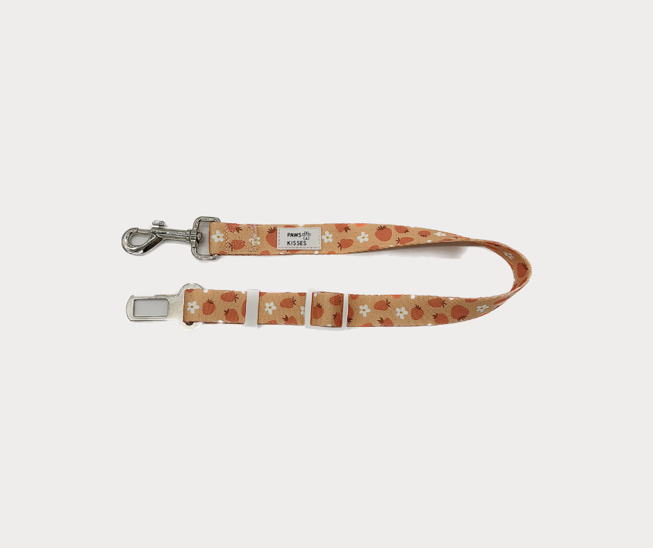 Seat Belt - Blossom Berry
