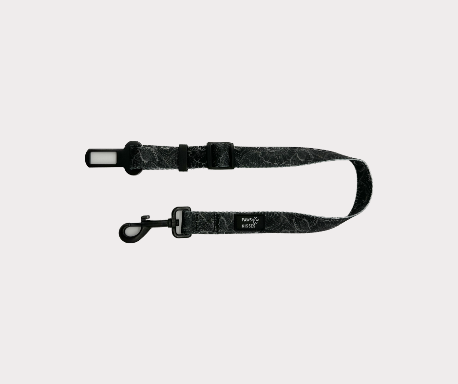 Seat Belt - Night