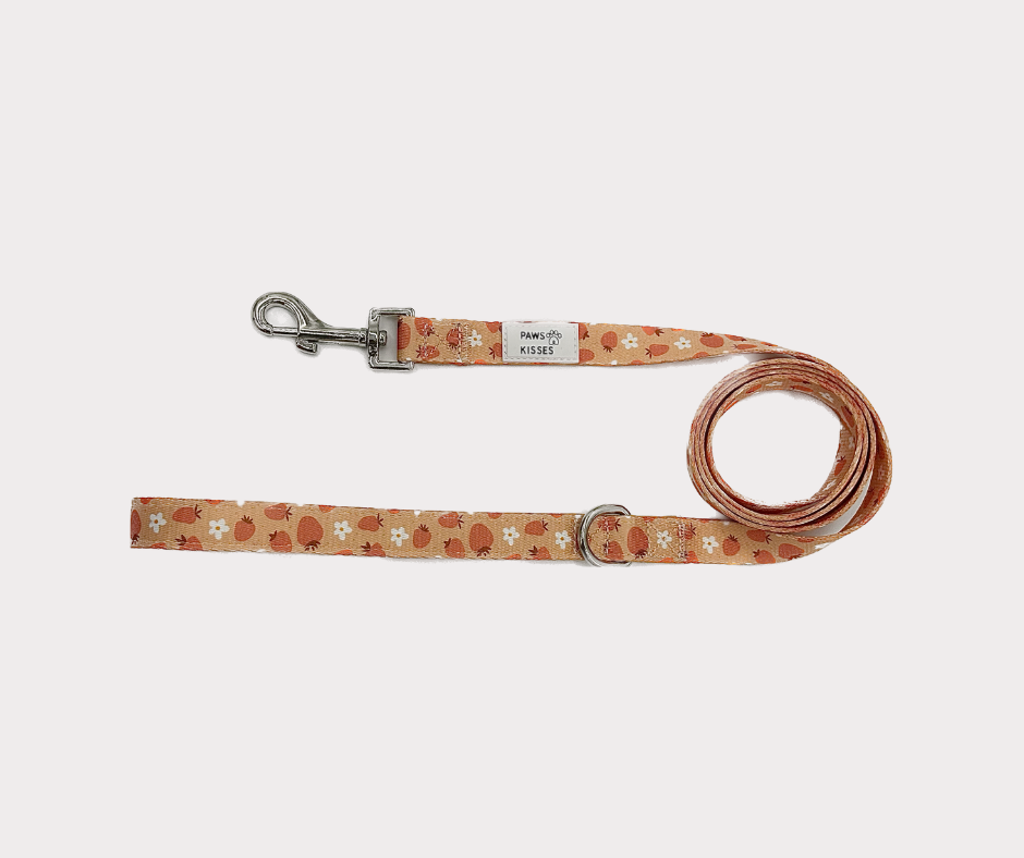 Leash - Blossom Berry