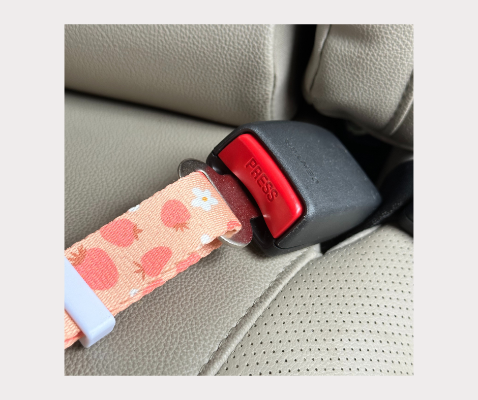 Seat Belt - Blossom Berry