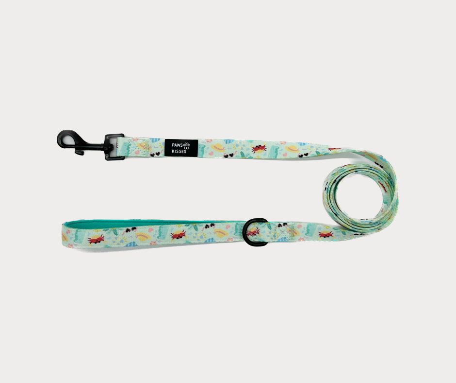 Leash - Beach Pawty
