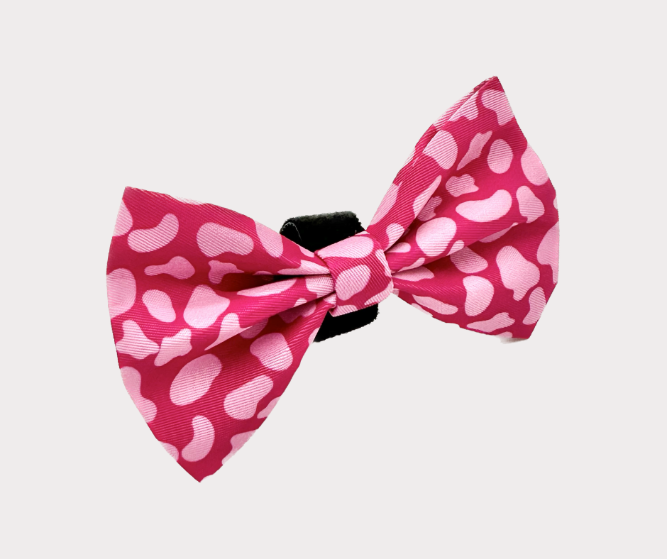 Bow - Pink leopard