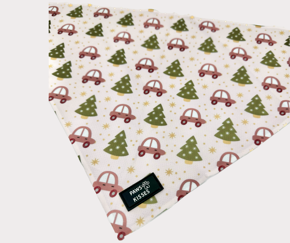 Cooling Bandana - Merry in Pink