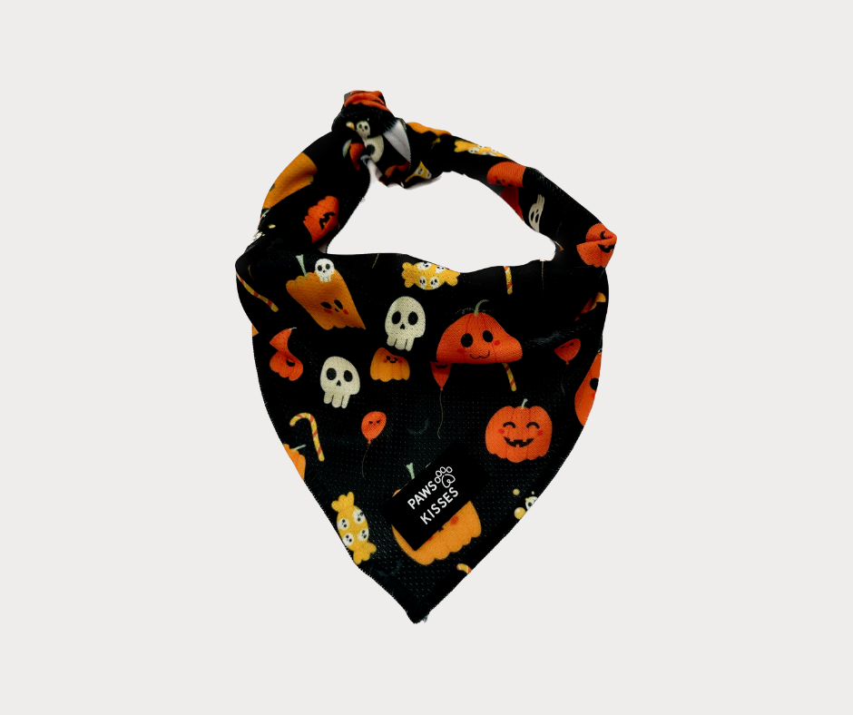 Cooling Bandana - Tricks for Treats