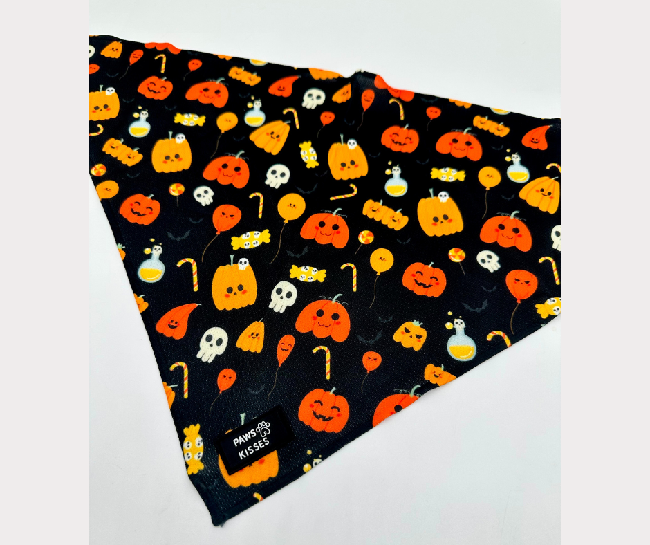 Cooling Bandana - Tricks for Treats