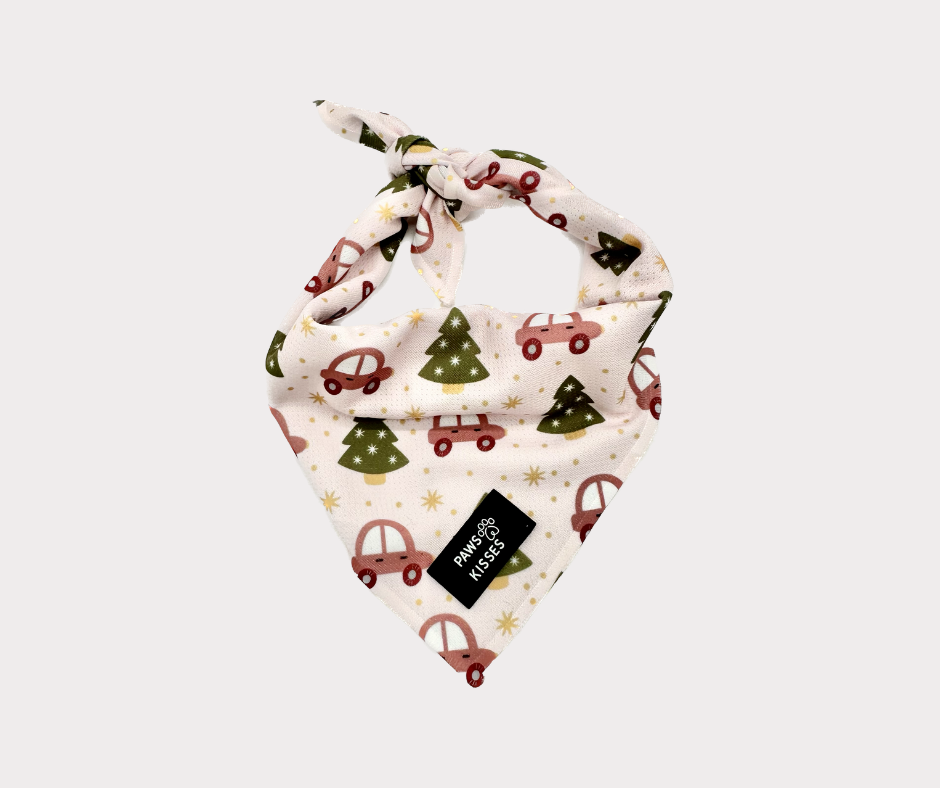 Cooling Bandana - Merry in Pink