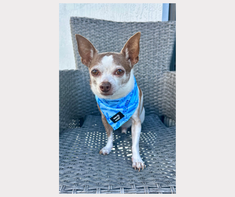 Cooling Bandana - Furost