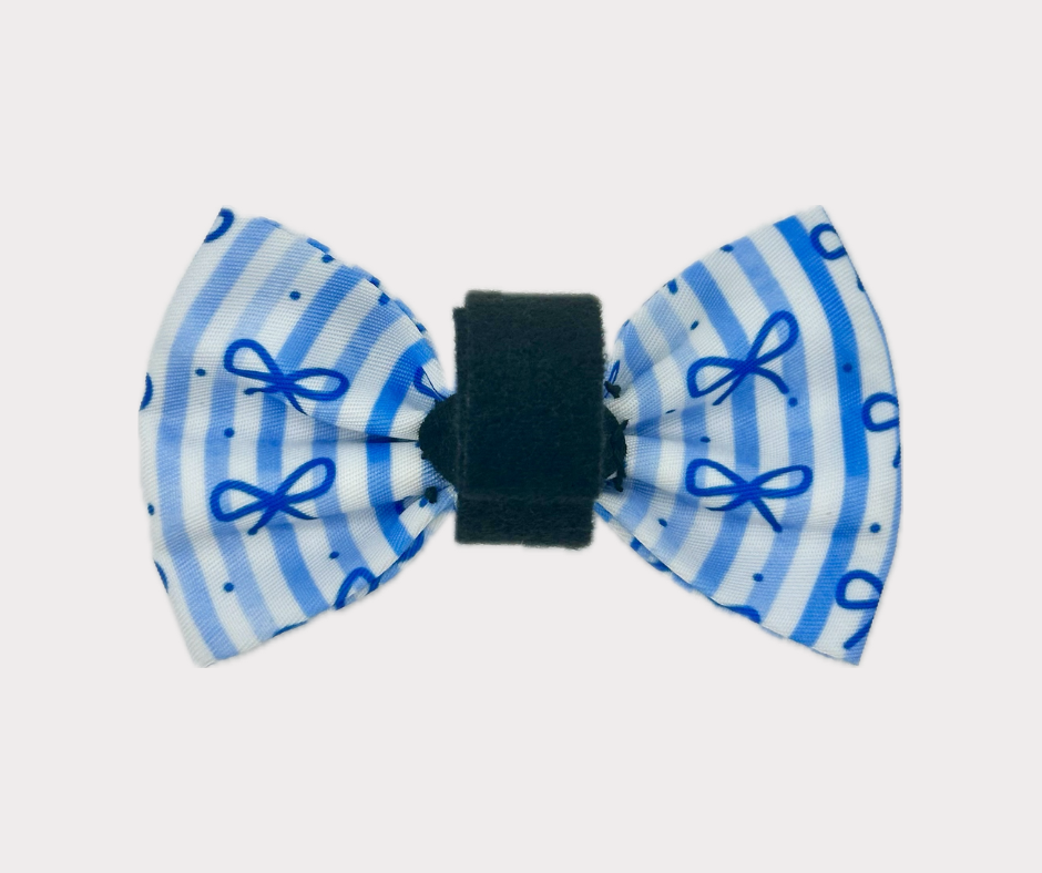 Bow - Dream