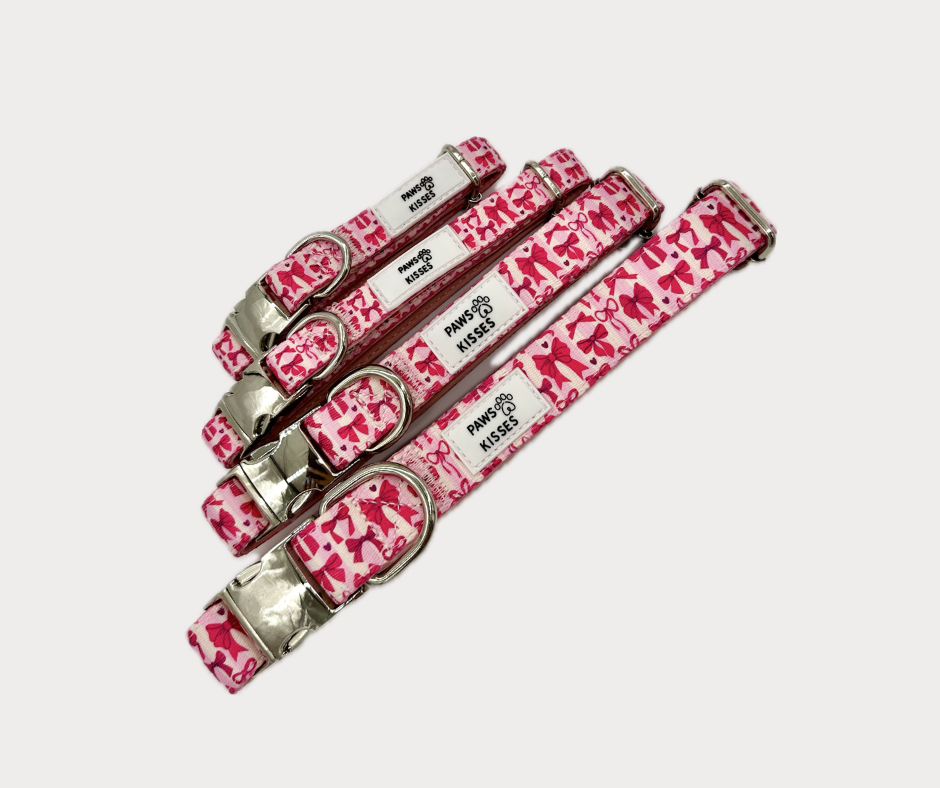 Adjustable Collar - Diva