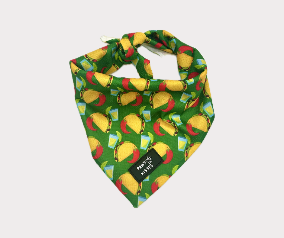 Cooling Bandana - Fiesta