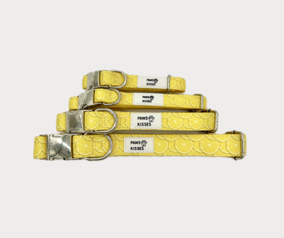 Adjustable Collar - Lemon Drop
