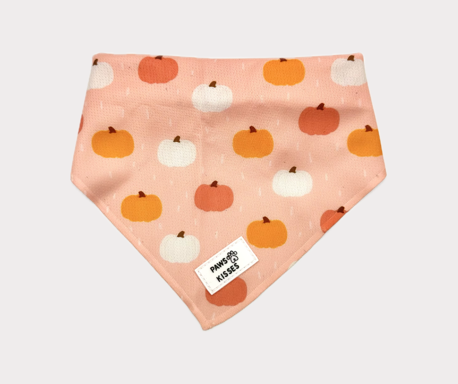 Cooling Bandana - Sweet Pumpkins
