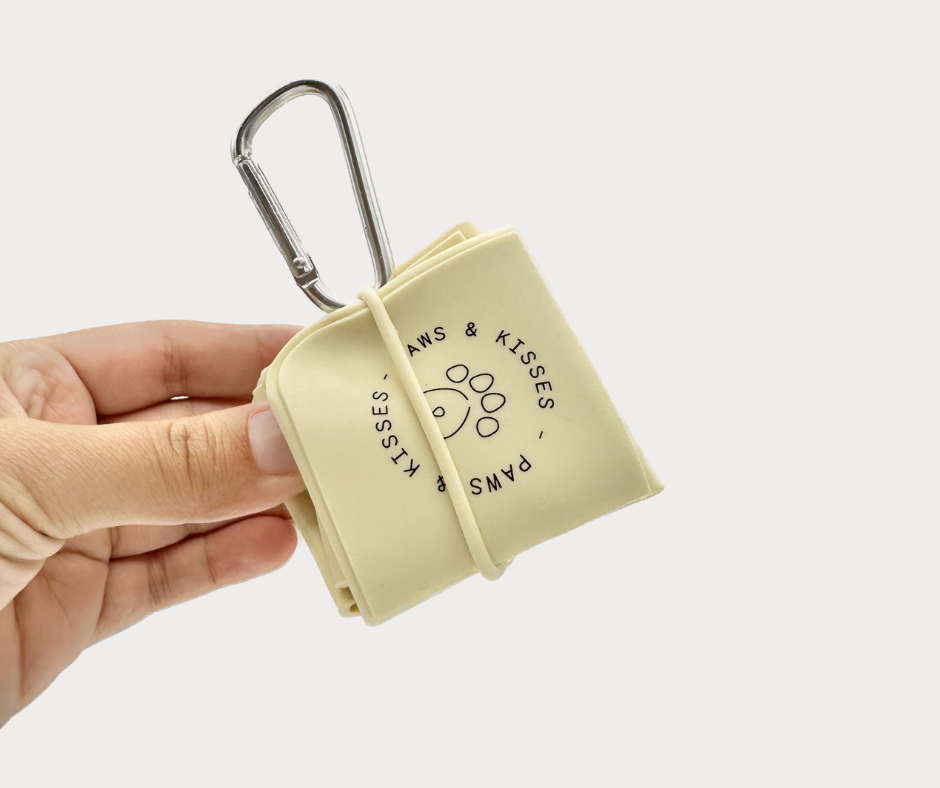 Foldable Travel Bowl