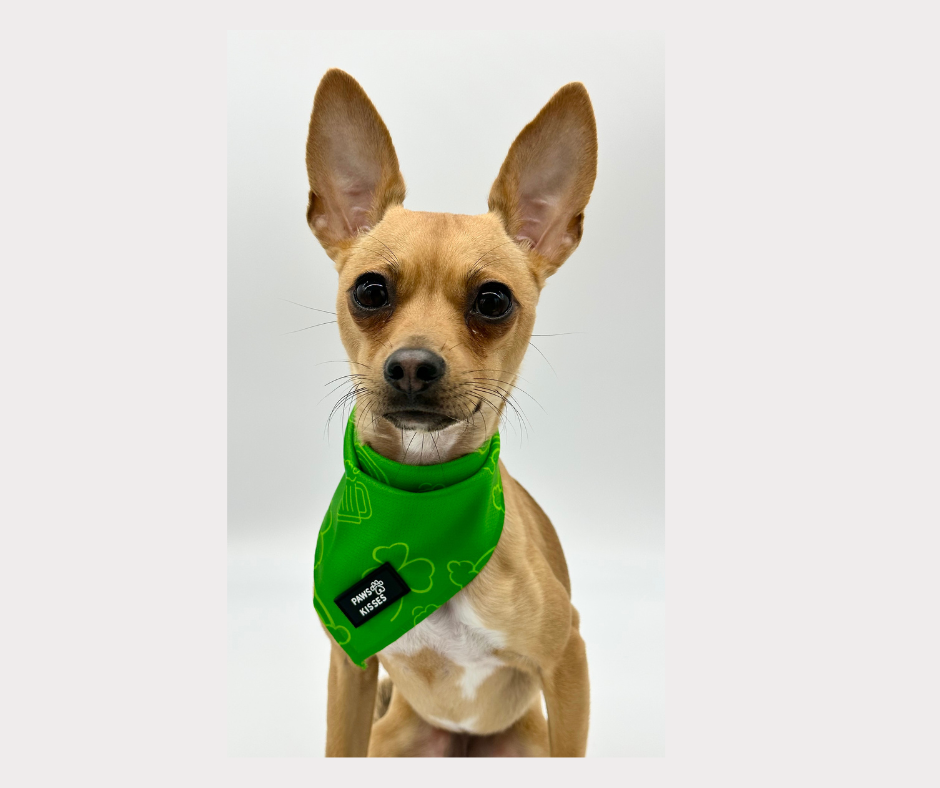 Cooling Bandana - Feeling Lucky