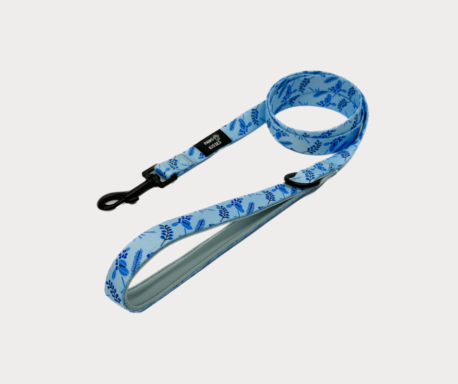 Leash - Furost