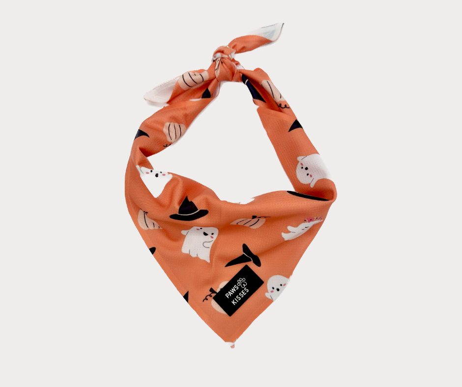 Cooling Bandana - Spooksies