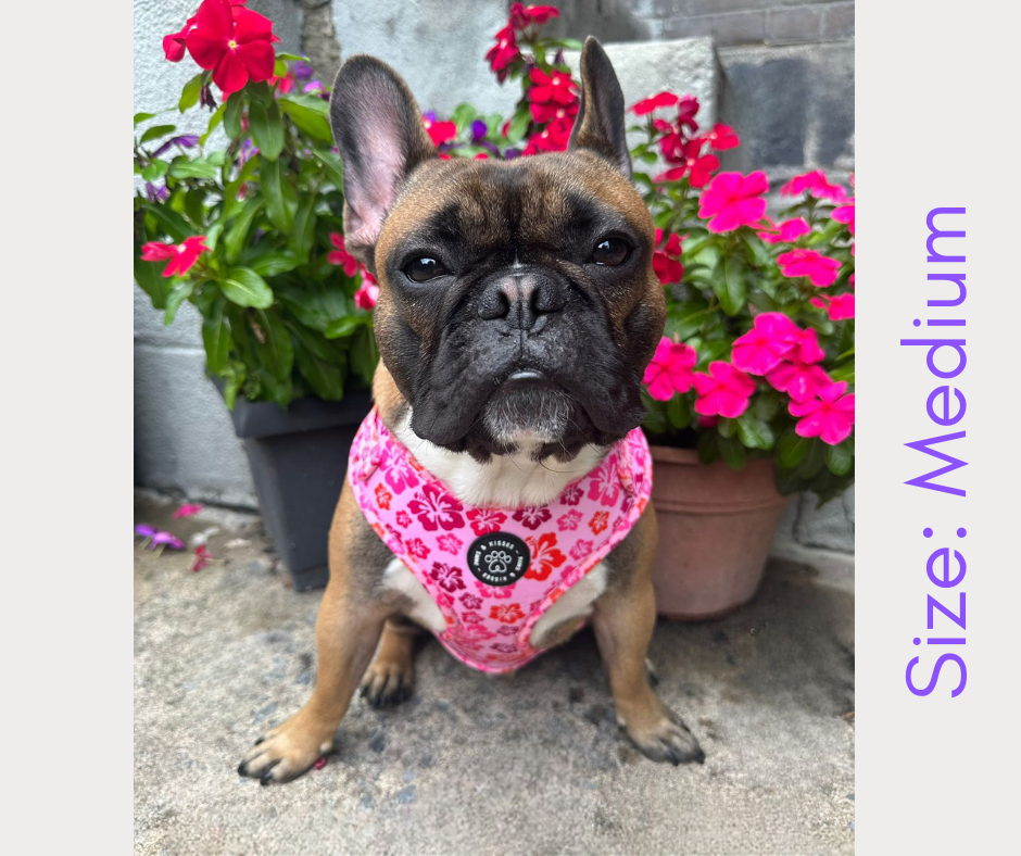 Adjustable Harness - Malibu