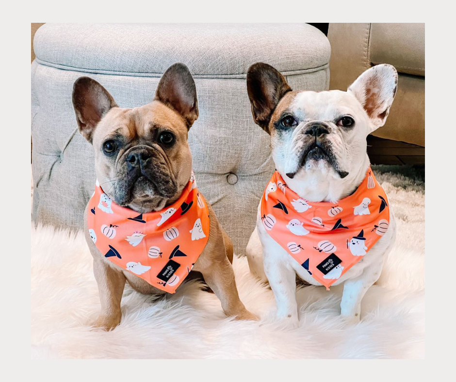 Cooling Bandana - Spooksies