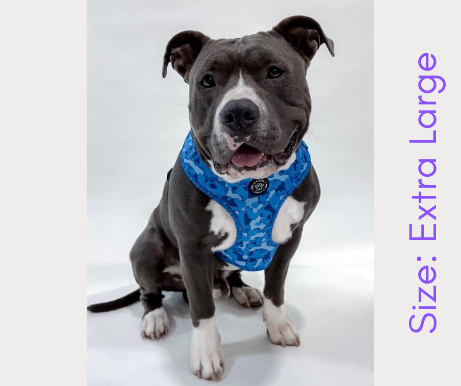 Adjustable Harness- Midnight Camo